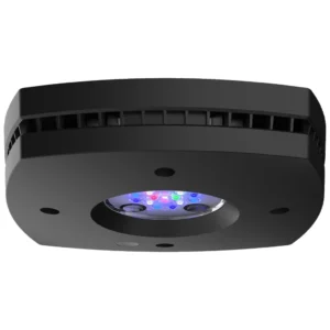 Ecotech Prime 16 HD Black - LED rasveta za akvarijum