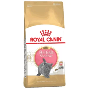 Royal Canin Breed Nutrition Kitten British Shorthair - suva hrana za mačiće britanske kratkodlake mačke