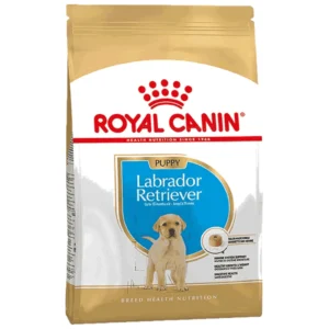 Royal Canin Breed Nutrition Labrador Puppy - hrana za štence labradora