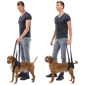 Trixie Dog Walking Aid - pojas za pomoć pri kretanju pasa