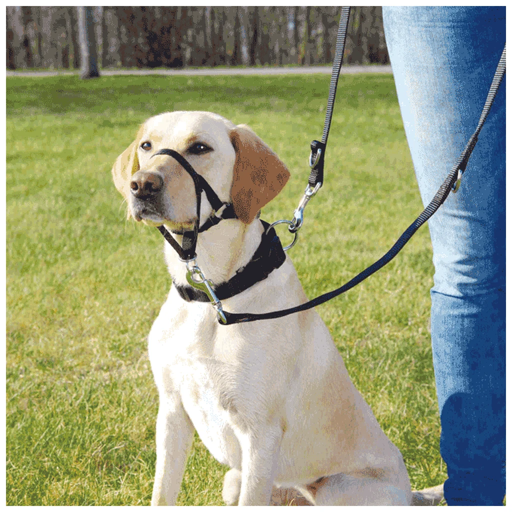 Trixie trening Control - trening korpa za kontrolu psa