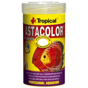 Tropical Asta Color - hrana za intenzivne boje, 500 ml