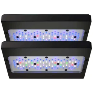 Ecotech Radion - Profesionalna LED lampa za korale